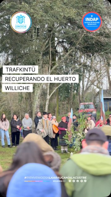 Trafkintu 2026 – Recuperando el huerto williche 🧶
Loncoche presente en el Trafkintu 2026.🌿
Con gran entusiasmo, usuarios y usuarias de distintos territorios del PDTI de Loncoche participaron en esta importante jornada, realizada en el Liceo Agrícola Vista Hermosa de Río Negro.
Esta participación fue posible gracias al trabajo conjunto y la articulación con INDAP, fortaleciendo espacios que permiten a nuestros agricultores y agricultoras conocer nuevas experiencias, generar vínculos con otros territorios y seguir potenciando sus conocimientos y prácticas productivas. 🌱🫘🌽
La participación de nuestros usuarios y usuarias fue coordinada por los equipos técnicos del PDTI, correspondientes al Territorio 1, Carlos Ramírez y Rodrigo Seiffert, y al Territorio 3, Yasna Robles, quienes acompañaron y gestionaron esta instancia de encuentro e intercambio.
Una jornada que nos invita a seguir protegiendo nuestra biodiversidad, rescatando nuestras prácticas ancestrales y fortaleciendo la agricultura familiar campesina. 💚🌿
📍 Río Negro | Región de Los Lagos
